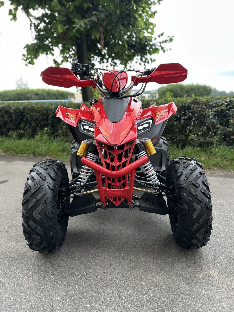 Бензиновый квадроцикл YACOTA TYPHOON 250 LD — изображение 2