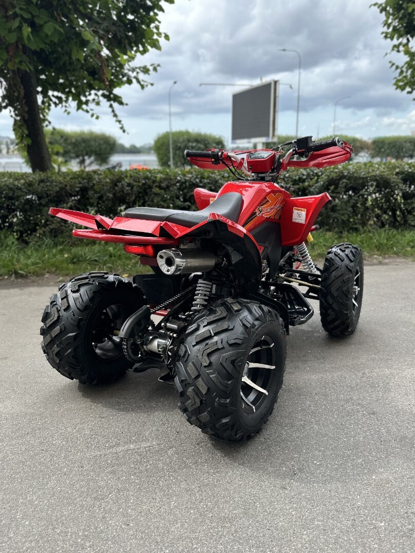 Бензиновый квадроцикл YACOTA TYPHOON 250 LD — изображение 4
