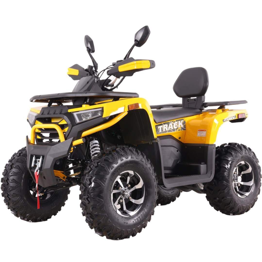 Бензиновый квадроцикл VOX250 WILD TRACK X PLUS