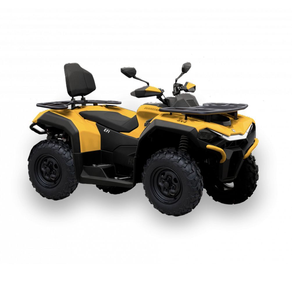 Бензиновый квадроцикл HISUN GUARDIAN 400L