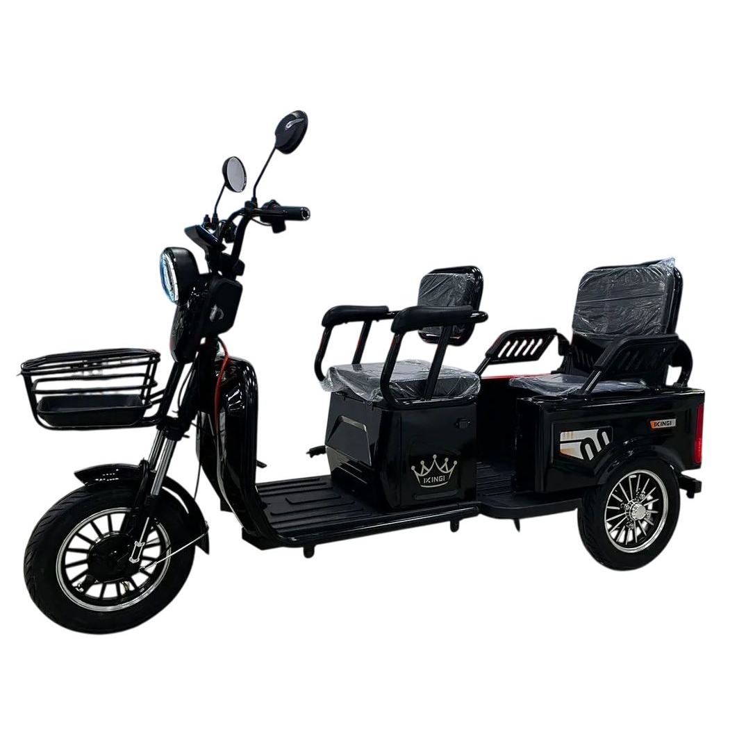 Трицикл IKINGI Sibtrike Max