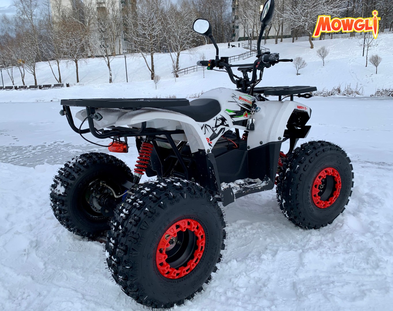 Электроквадроцикл детский MOWGLI E-HARDY 8+ 1000W — изображение 10