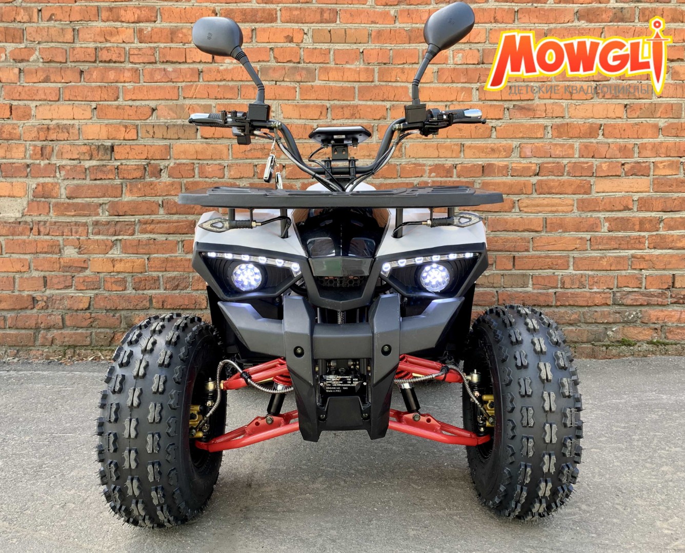 Электроквадроцикл детский MOWGLI E-HARDY 8+ 1000W — изображение 2