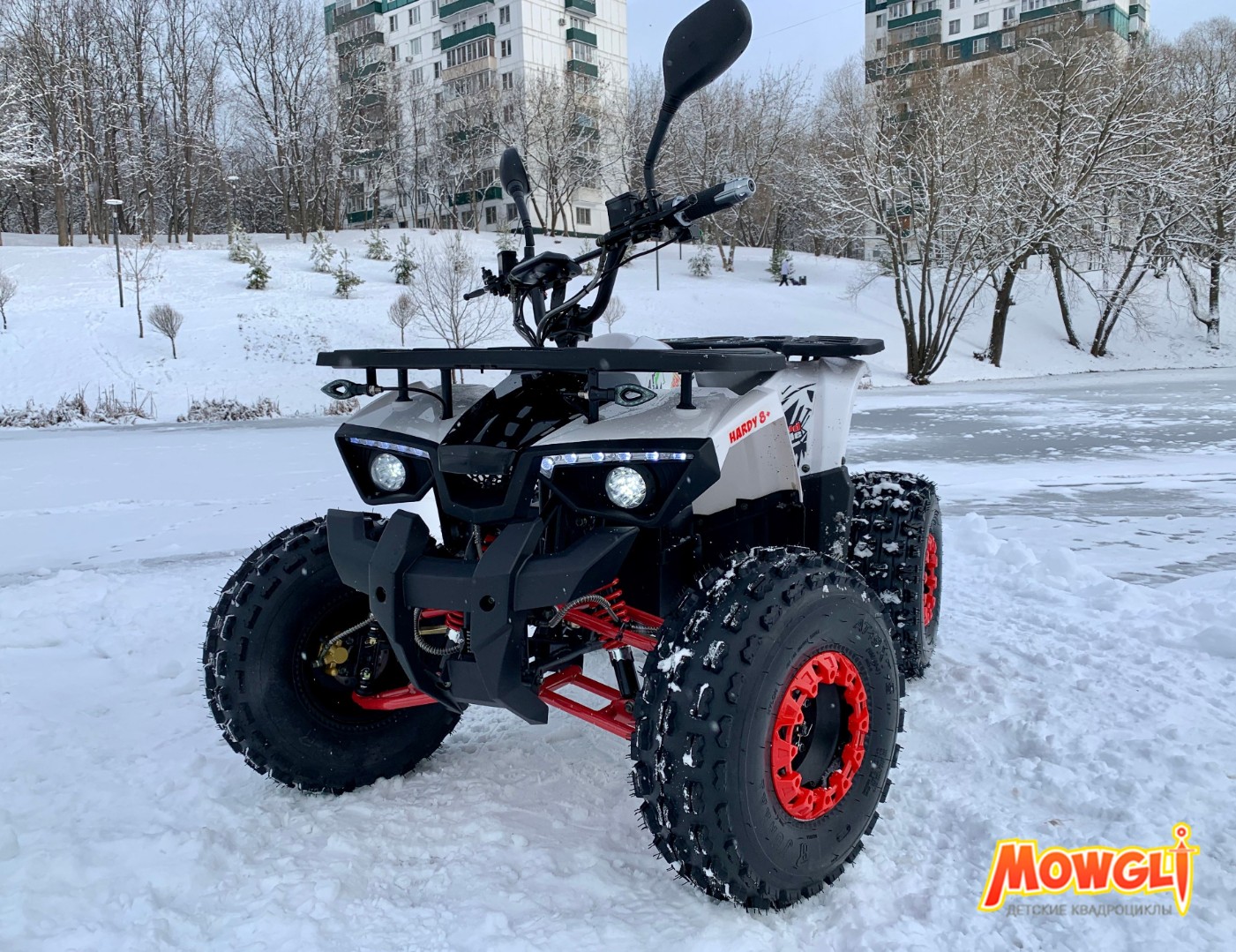 Электроквадроцикл детский MOWGLI E-HARDY 8+ 1000W — изображение 9