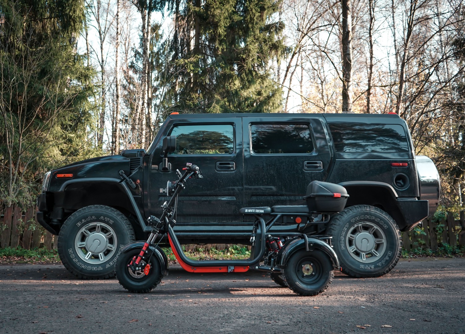 Электроскутер WS-PRO+ TRIKE 3000W, 60V , 21AH — изображение 8