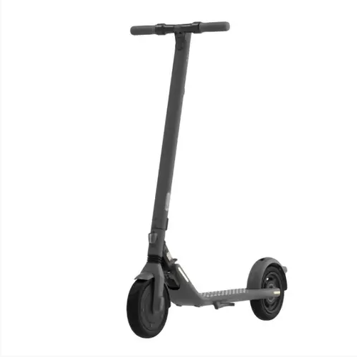 Электросамокат Ninebot E25