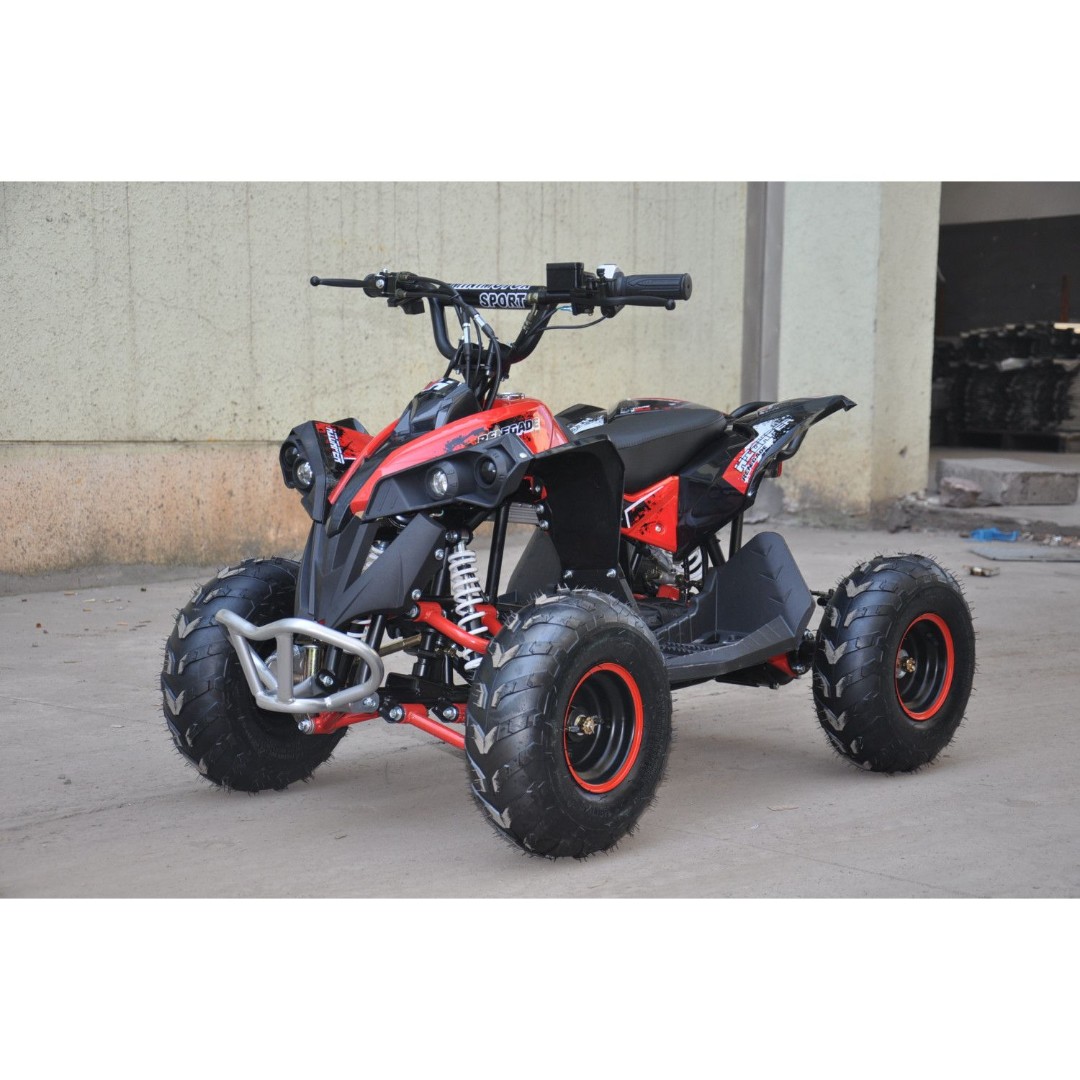 Электроквадроцикл Simargl Renegade