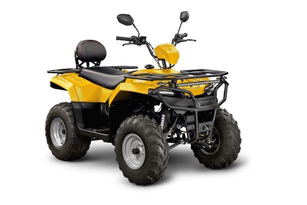 Бензиновый квадроцикл IRBIS ATV250