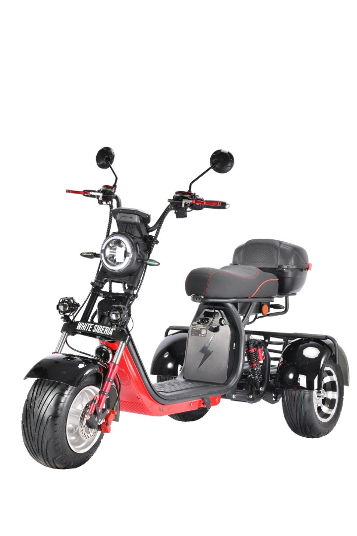 Электроскутер WHITE SIBERIA PRO TRIKE 3000W (2021 года) — изображение 27