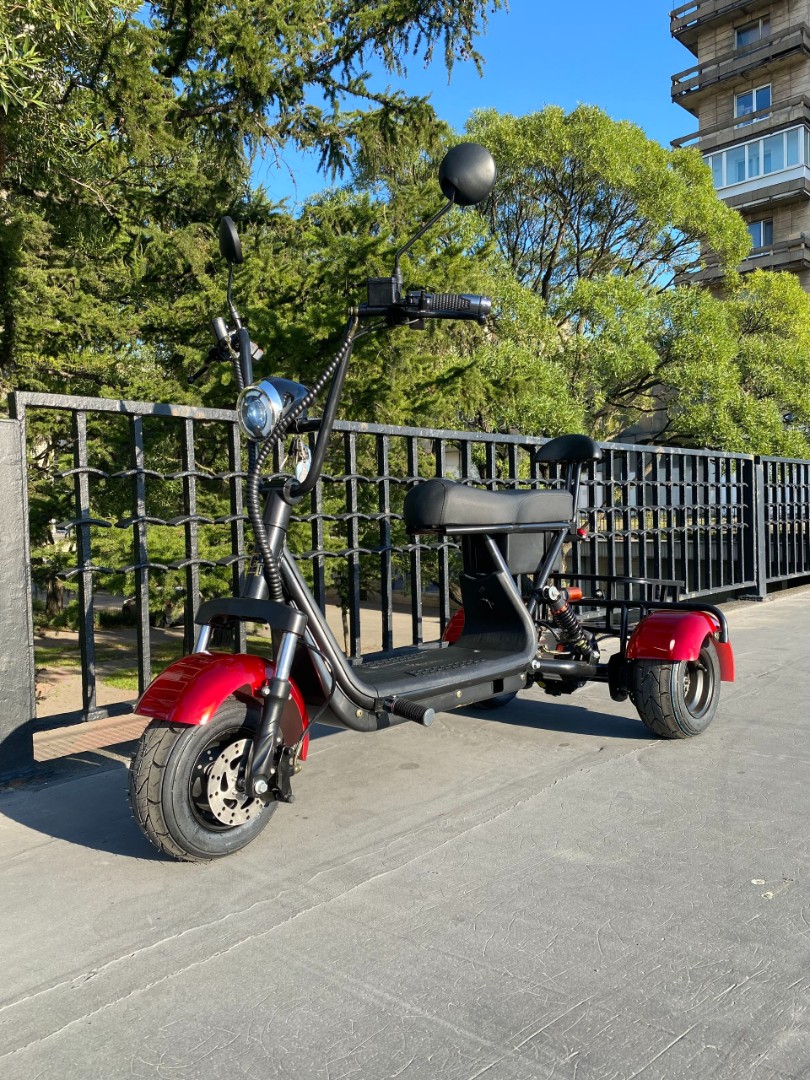 Электроскутер Citycoco TRIKE MINI GT X3 PRO — изображение 13