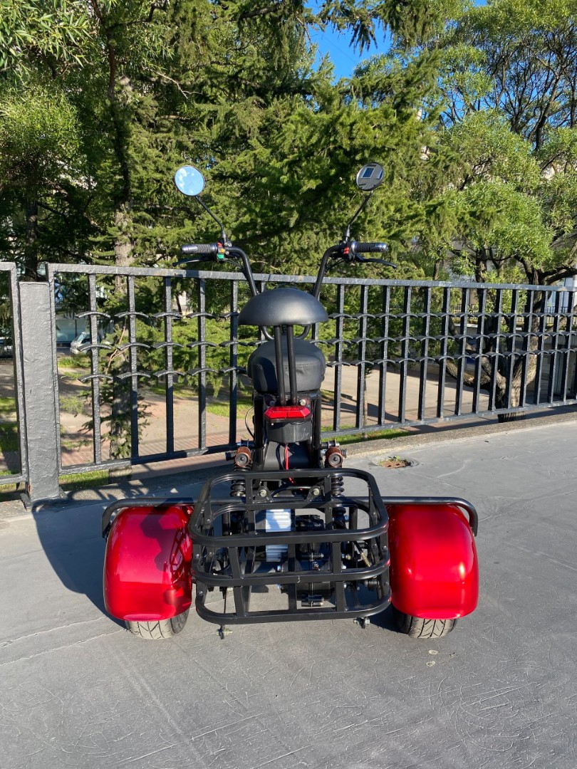 Электроскутер Citycoco TRIKE MINI GT X3 PRO — изображение 3