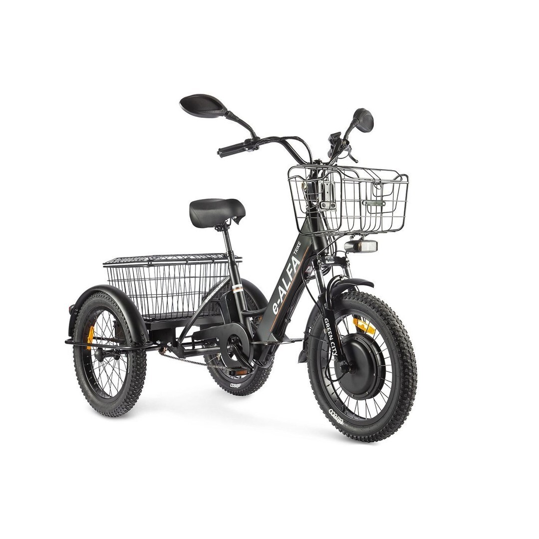 Электровелосипед GREEN CITY e-ALFA Trike — изображение 2