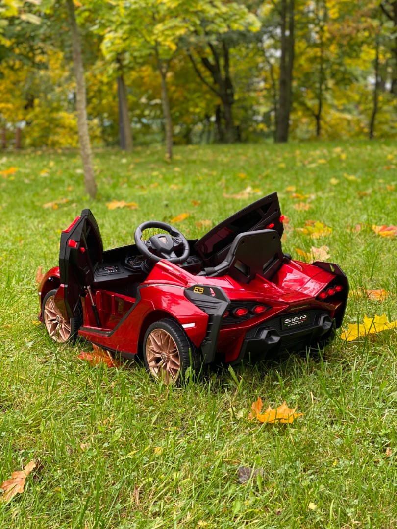 Детский электромобиль Lamborghini Sian 4WD — изображение 35