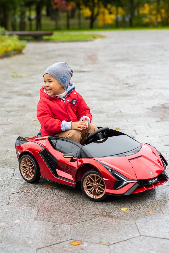 Детский электромобиль Lamborghini Sian 4WD — изображение 4