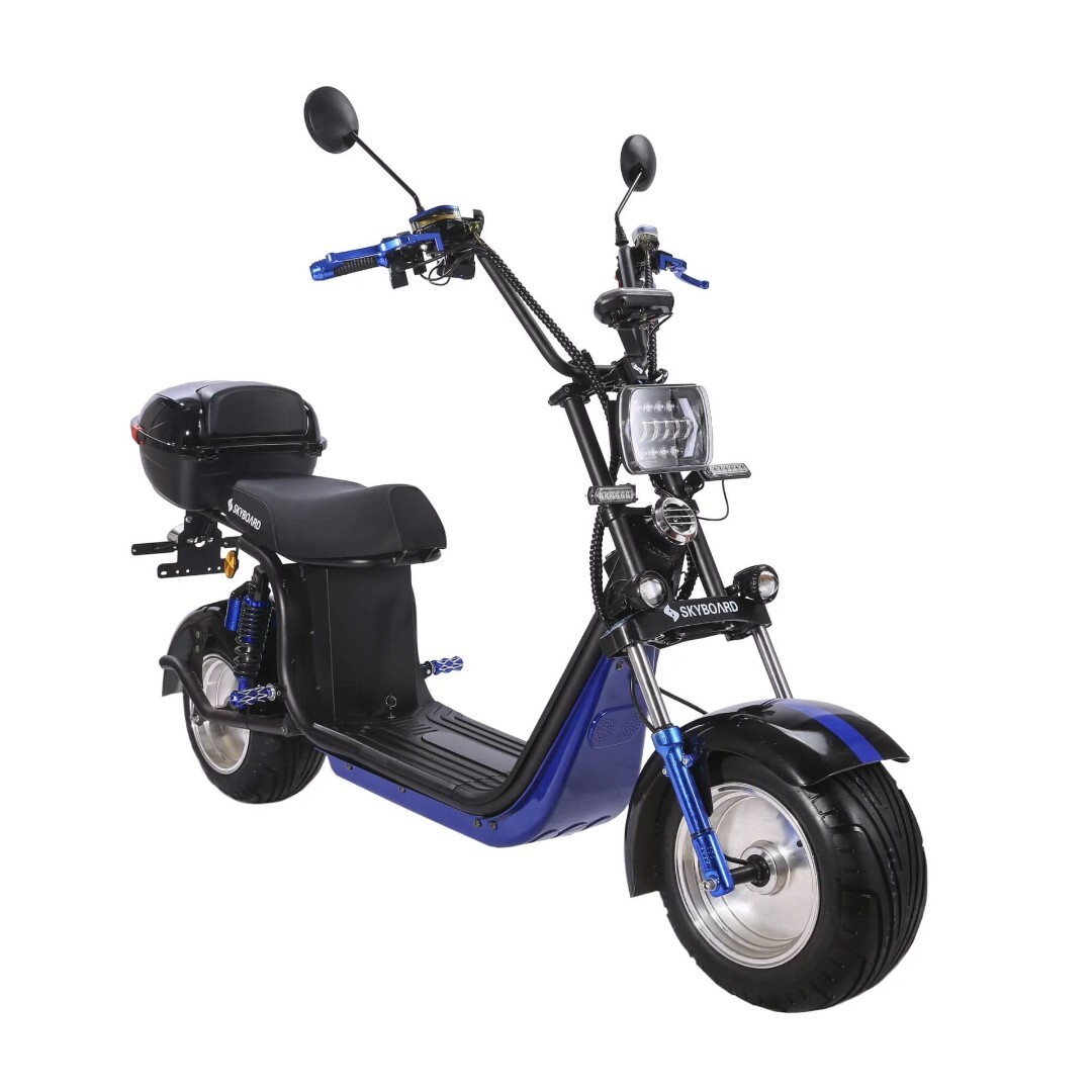 Электроскутер Skyboard BR30-2WD (Ural)