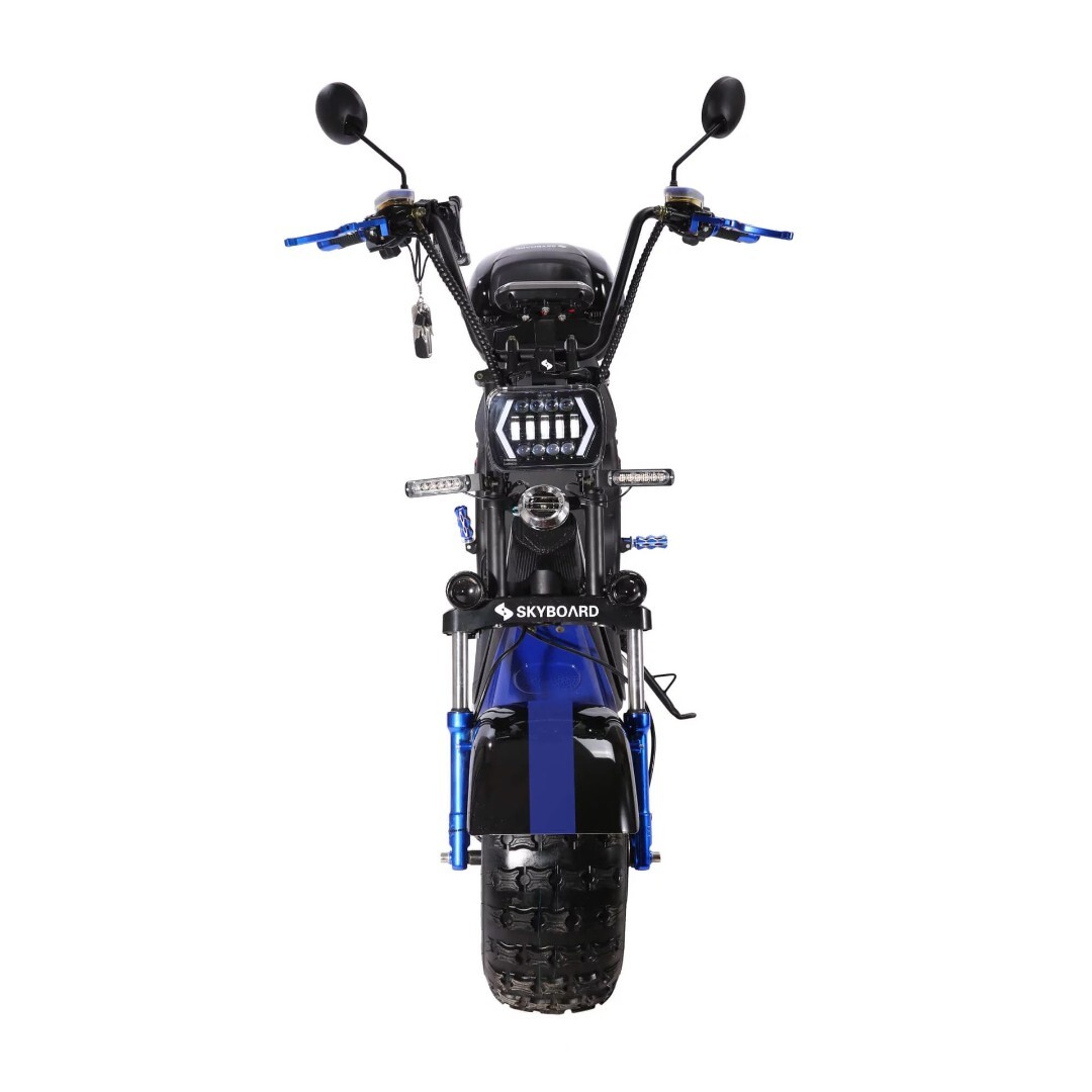 Электроскутер Skyboard BR20-2WD OFF-ROAD — изображение 2