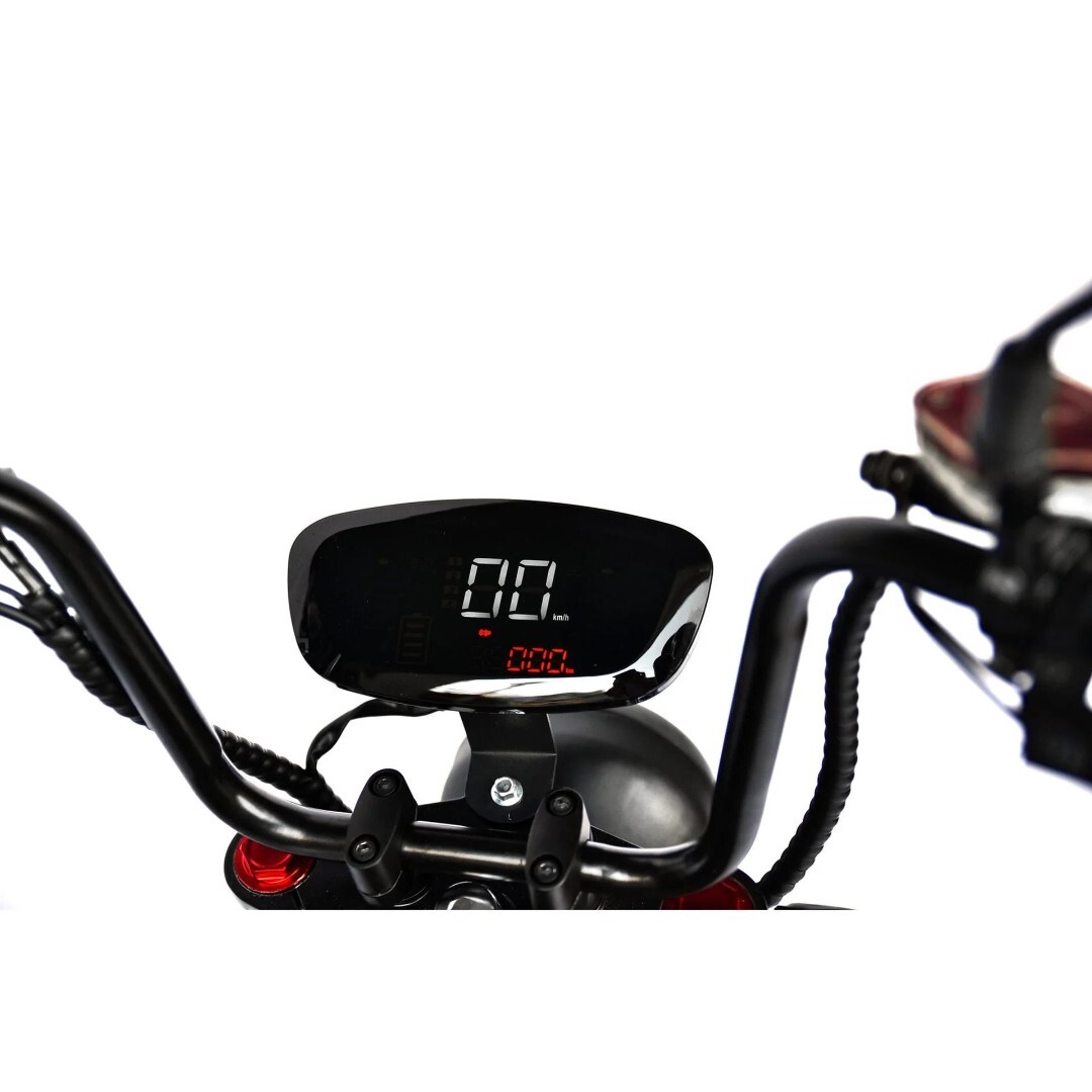 Электроскутер Skyboard FAR EAST-5000 (Grasshopper) — изображение 20