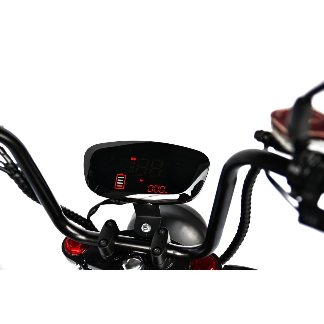 Электроскутер Skyboard FAR EAST-5000 (Grasshopper) — изображение 21