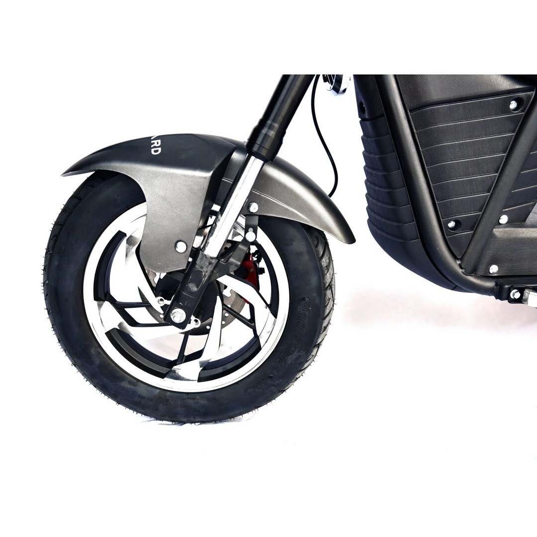 Электроскутер Skyboard FAR EAST-5000 (Grasshopper) — изображение 28