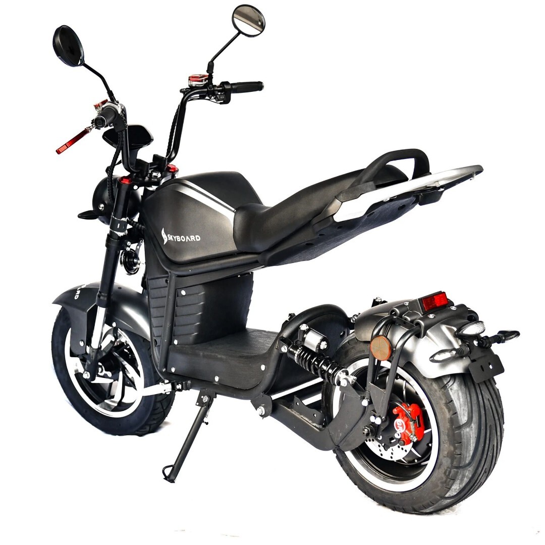 Электроскутер Skyboard FAR EAST-5000 (Grasshopper) — изображение 5