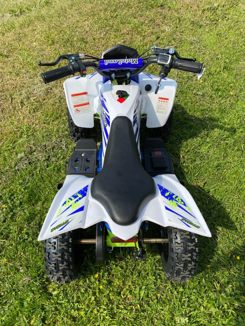Электроквадроцикл Motoland ATV E010 1000Вт — изображение 4