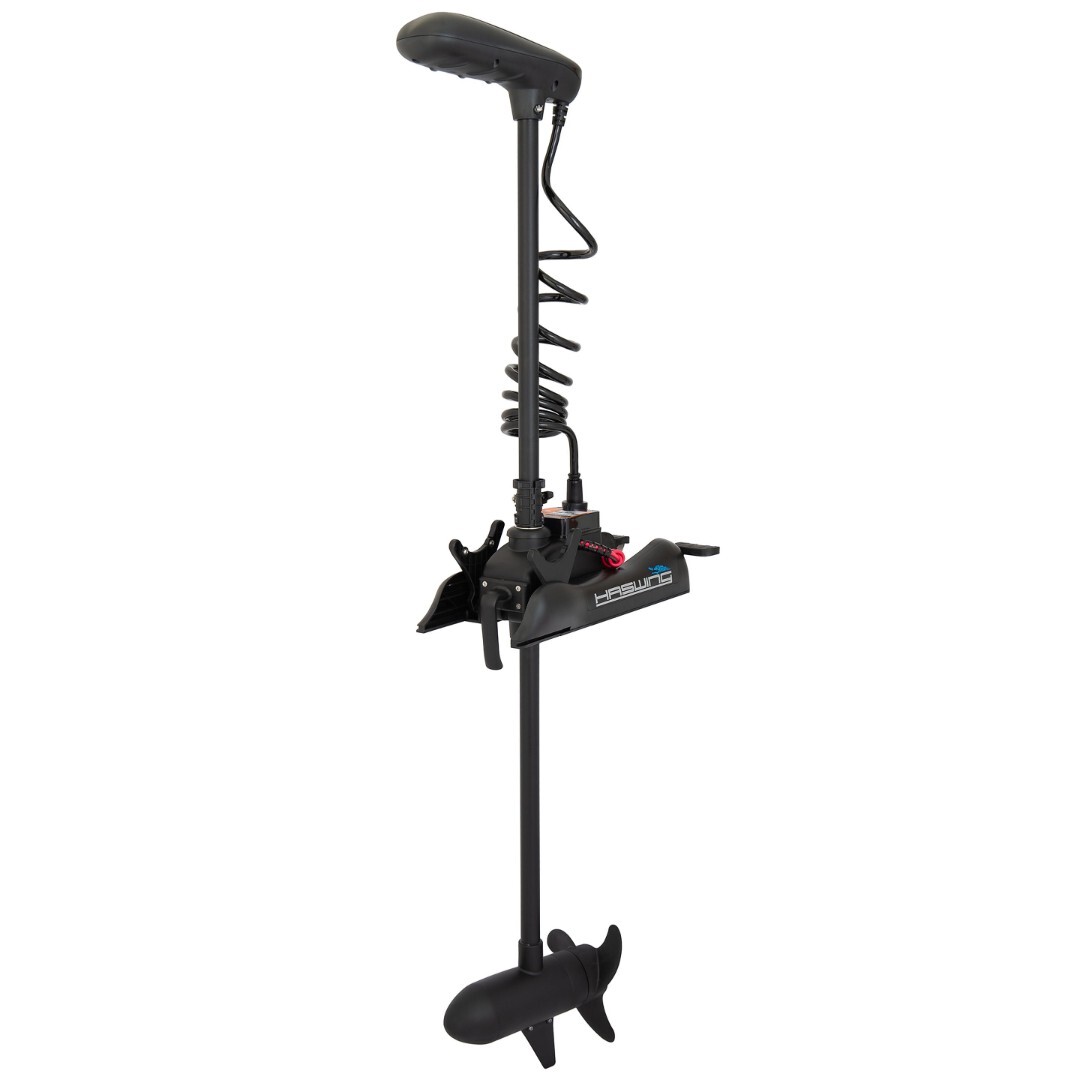 Лодочный мотор Haswing Cayman B 55Lbs