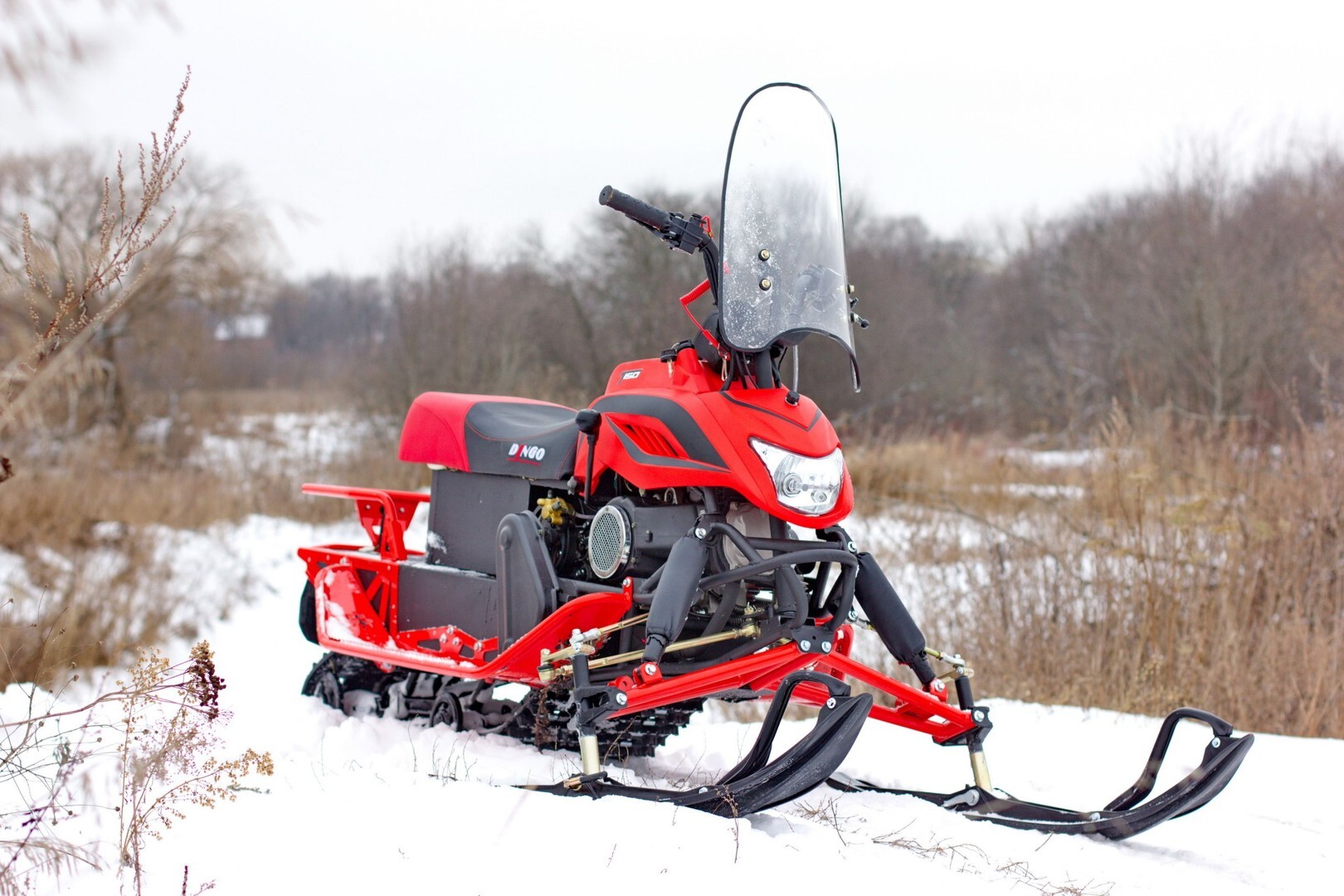 Снегоход IRBIS Dingo T200